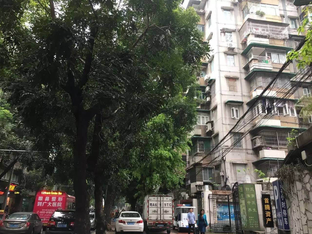 黄骅港二手楼最新房源动态，变化中的家园与自信成就感的提升