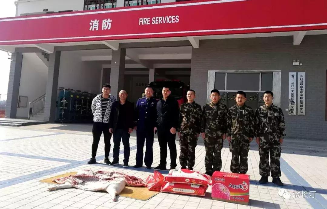 经济责任履行情况报告详解，全面梳理与展示履行成果